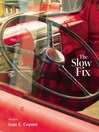 The Slow Fix (eBook): Stories